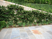 Garbujo Giardini giardini