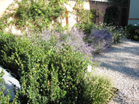 Garbujo Giardini giardini