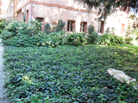 Garbujo Giardini giardini