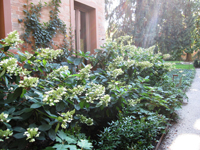 Garbujo Giardini giardini