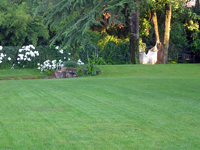 Garbujo Giardini giardini