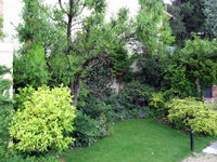 Garbujo Giardini giardini