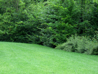 Garbujo Giardini giardini