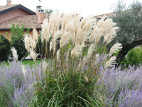Garbujo Giardini giardini