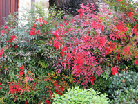Garbujo Giardini giardini