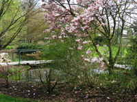 Garbujo Giardini giardini