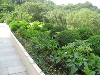 Garbujo Giardini giardini
