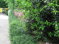 Garbujo Giardini giardini