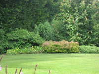 Garbujo Giardini giardini