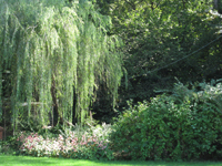 Garbujo Giardini giardini