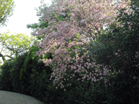 Garbujo Giardini giardini