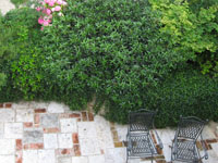 Garbujo Giardini manutenzione