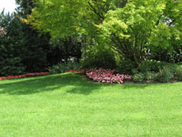 Garbujo Giardini manutenzione