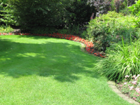 Garbujo Giardini manutenzione