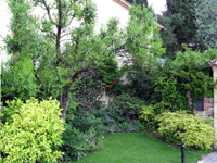 Garbujo Giardini manutenzione