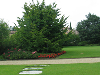Garbujo Giardini manutenzione