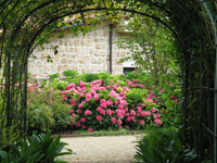 Garbujo Giardini manutenzione