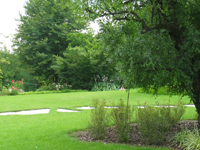 Garbujo Giardini manutenzione