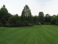 Garbujo Giardini manutenzione