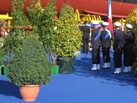 Garbujo nolleggio-eventi nolleggio-eventi
