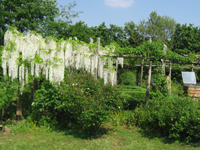 Garbujo Giardini orti