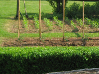Garbujo Giardini orti