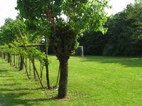 Garbujo Giardini orti