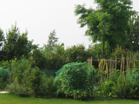 Garbujo Giardini orti