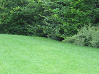 Garbujo Giardini parchi