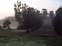 Garbujo Giardini parchi