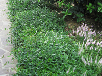 Garbujo Giardini parchi