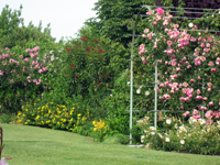 Garbujo Giardini parchi