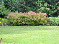 Garbujo Giardini parchi