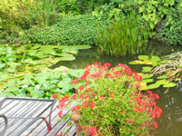 Garbujo Giardini parchi