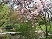 Garbujo Giardini parchi
