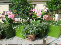 Garbujo Giardini terrazze