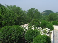 Garbujo Giardini terrazze