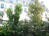 Garbujo Giardini terrazze